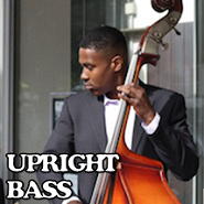 upright bass lessons in london